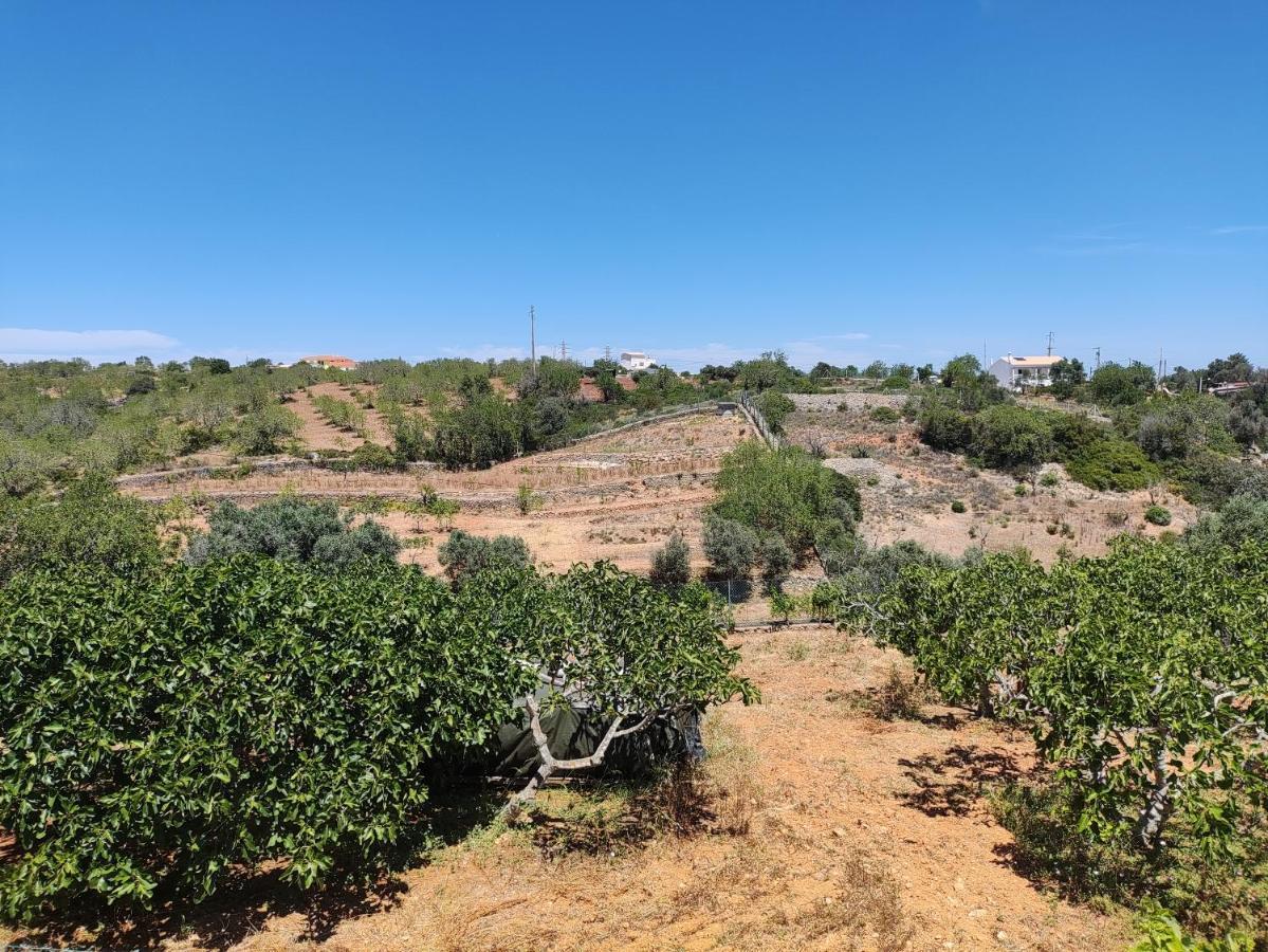 Casa Azul Διαμέρισμα Αλμπουφέιρα Εξωτερικό φωτογραφία